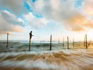 Ankr Introduces Token-Staking Tool Kits for Yield-Hunting Communities