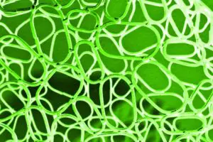 Is Layer 2 Scaling for Blockchains Living up to Its Promise? | HackerNoon