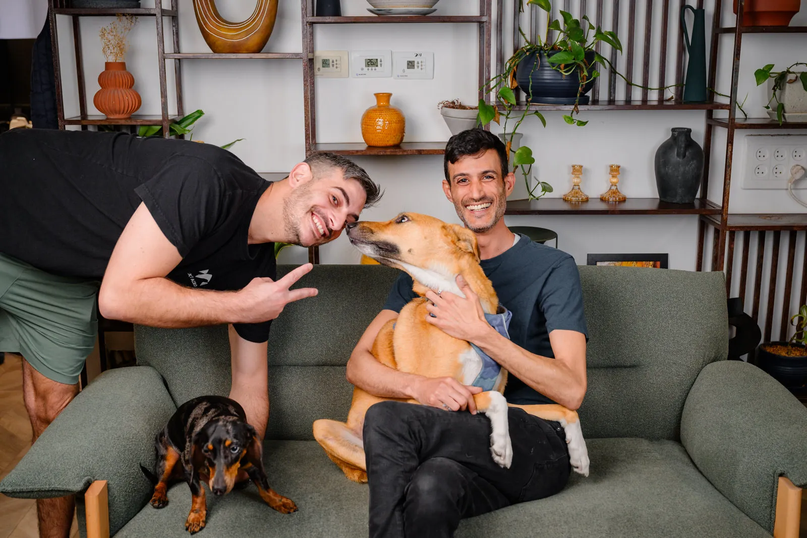 The Dog And Team