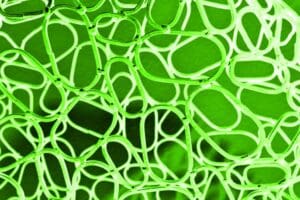 Is Layer 2 Scaling for Blockchains Living up to Its Promise? | HackerNoon